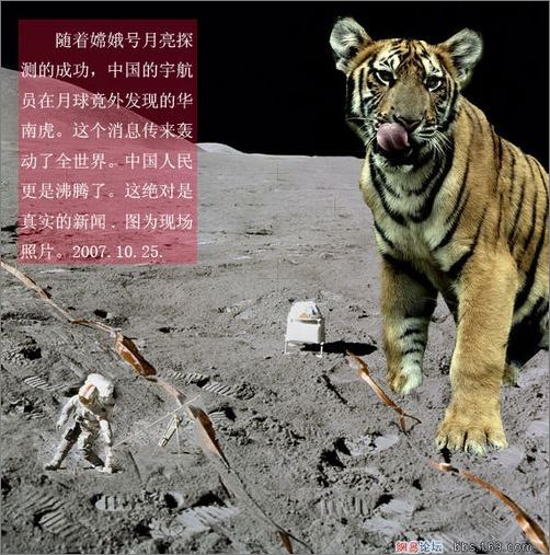 好奇號看到天了？